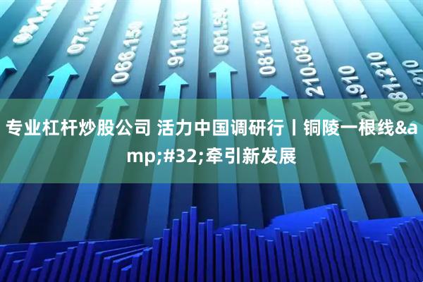 专业杠杆炒股公司 活力中国调研行丨铜陵一根线&#32;牵引新发展
